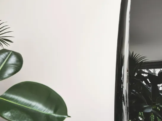 Specchio con cornice in vetro Colette di Calligaris