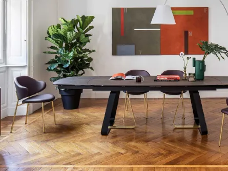 Sedia in pelle con struttura in ottole lucido Holly di Calligaris